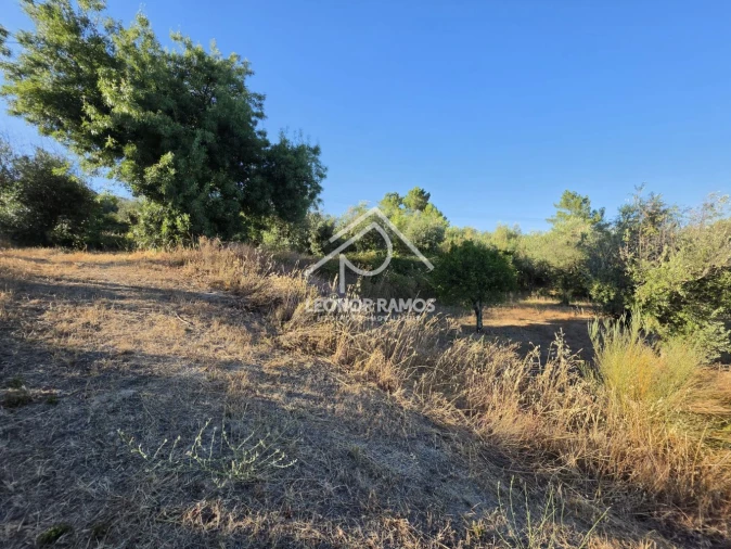 Quinta para Venda em Póvoa de Atalaia e Atalaia do Campo Foto 29