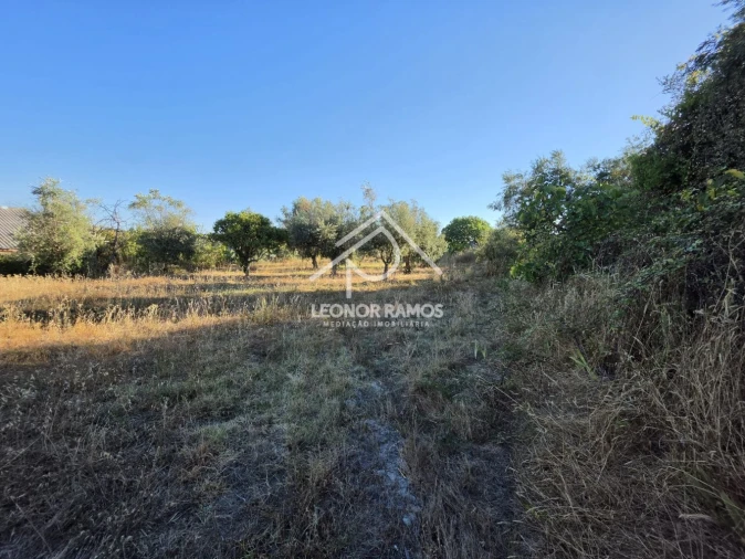 Quinta para Venda em Póvoa de Atalaia e Atalaia do Campo Foto 16