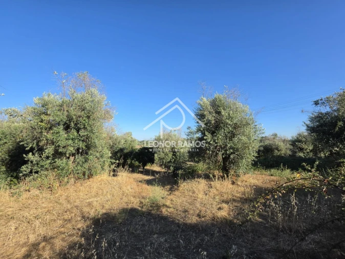 Quinta para Venda em Póvoa de Atalaia e Atalaia do Campo Foto 39