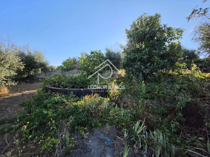 Quinta para Venda em Póvoa de Atalaia e Atalaia do Campo Foto 24