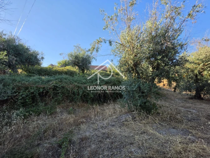 Quinta para Venda em Póvoa de Atalaia e Atalaia do Campo Foto 26
