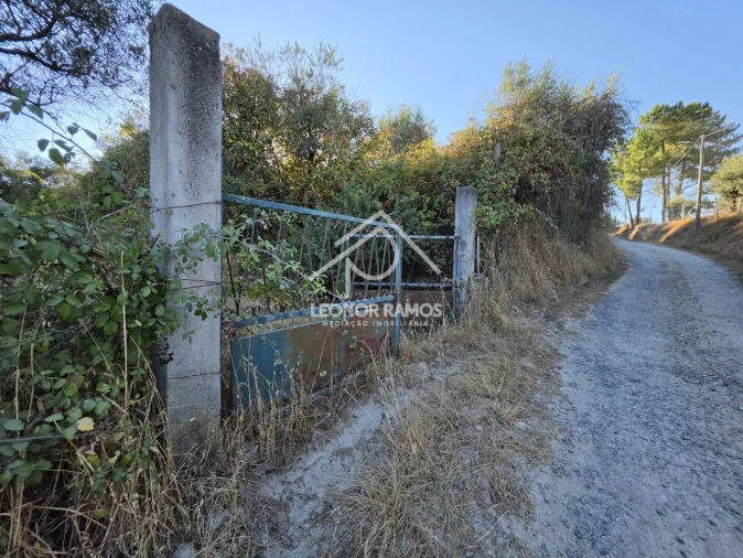 Quinta para Venda em Póvoa de Atalaia e Atalaia do Campo Foto 6