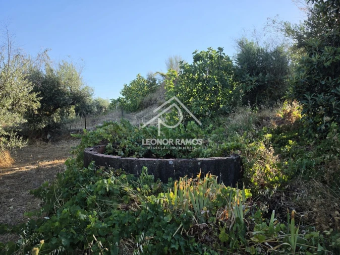 Quinta para Venda em Póvoa de Atalaia e Atalaia do Campo Foto 25