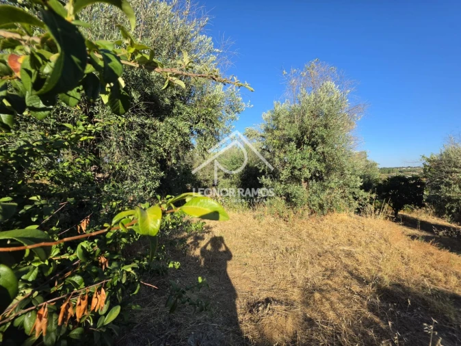 Quinta para Venda em Póvoa de Atalaia e Atalaia do Campo Foto 38