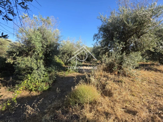 Quinta para Venda em Póvoa de Atalaia e Atalaia do Campo Foto 32