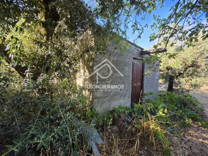 Quinta para Venda em Póvoa de Atalaia e Atalaia do Campo Foto 50