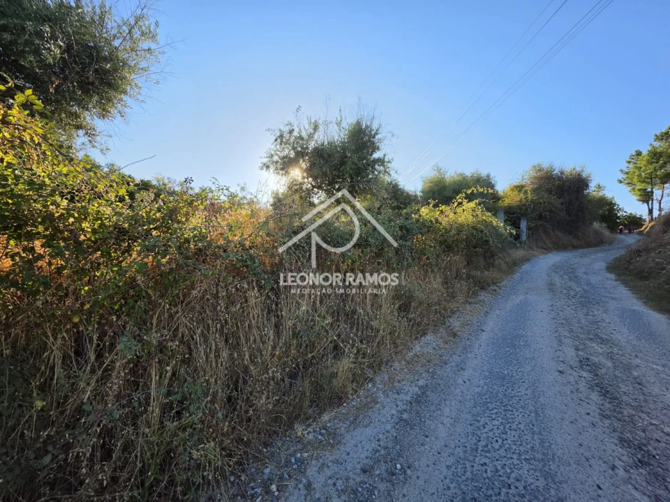 Quinta para Venda em Póvoa de Atalaia e Atalaia do Campo Foto 3