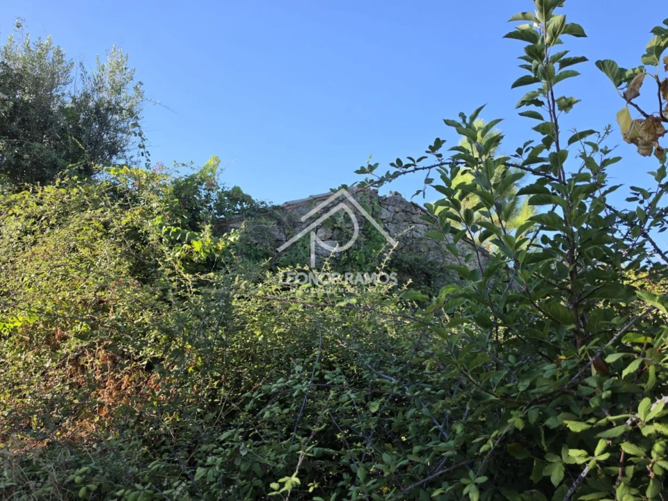 Quinta para Venda em Póvoa de Atalaia e Atalaia do Campo Foto 34