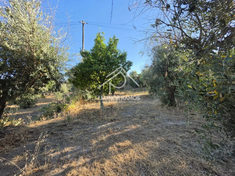 Quinta para Venda em Póvoa de Atalaia e Atalaia do Campo Foto 42