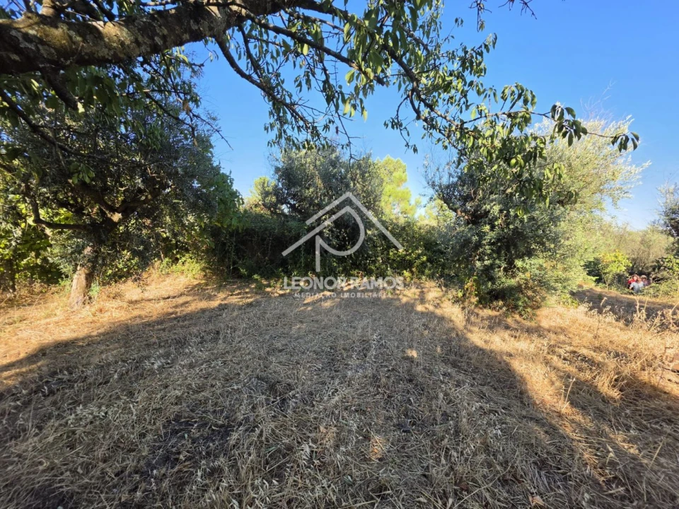 Quinta para Venda em Póvoa de Atalaia e Atalaia do Campo Foto 44