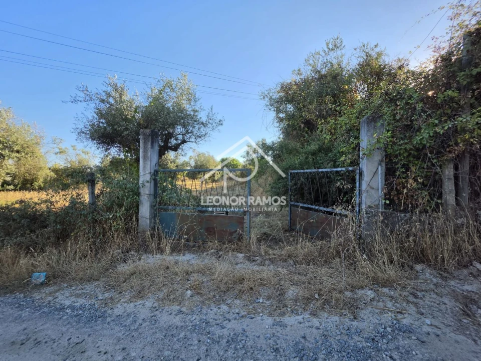 Quinta para Venda em Póvoa de Atalaia e Atalaia do Campo Foto 5