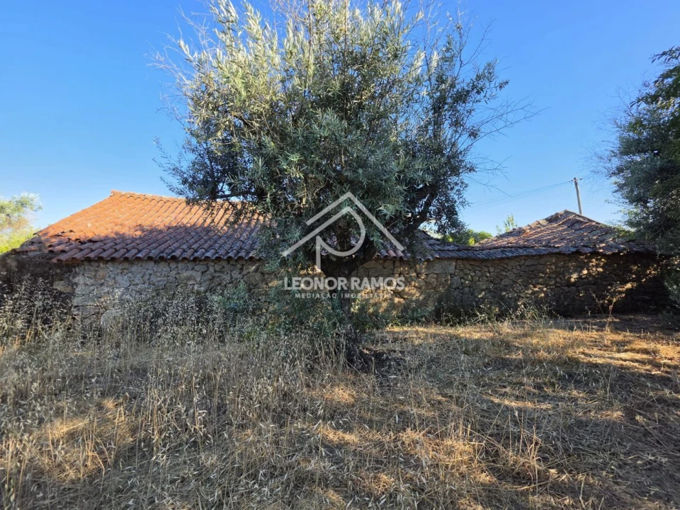 Quinta para Venda em Póvoa de Atalaia e Atalaia do Campo Foto 48