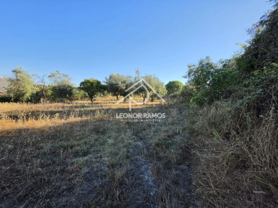Quinta para Venda em Póvoa de Atalaia e Atalaia do Campo Foto 16