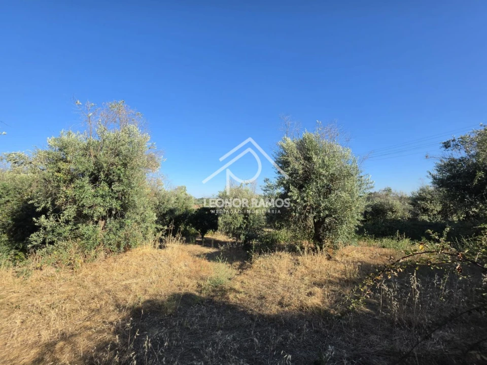 Quinta para Venda em Póvoa de Atalaia e Atalaia do Campo Foto 39