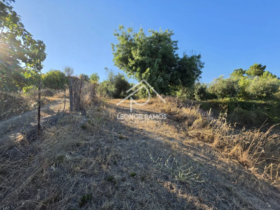 Quinta para Venda em Póvoa de Atalaia e Atalaia do Campo Foto 17