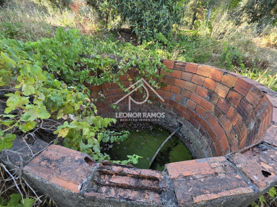 Quinta para Venda em Póvoa de Atalaia e Atalaia do Campo Foto 22