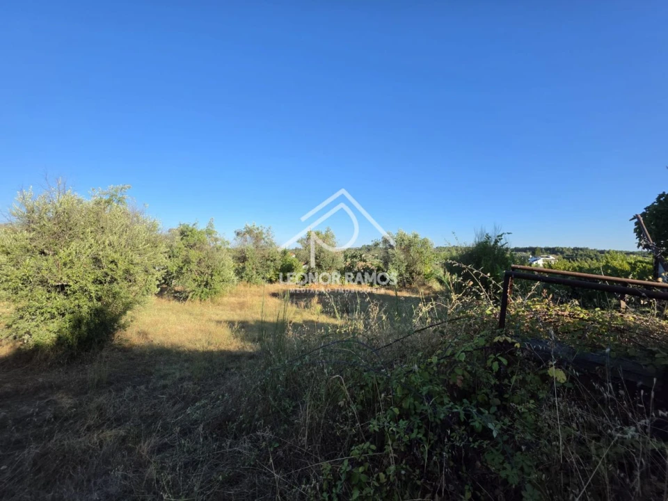 Quinta para Venda em Póvoa de Atalaia e Atalaia do Campo Foto 12