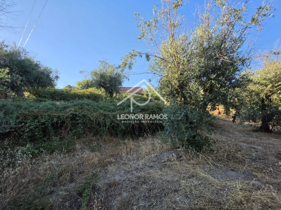 Quinta para Venda em Póvoa de Atalaia e Atalaia do Campo Foto 26