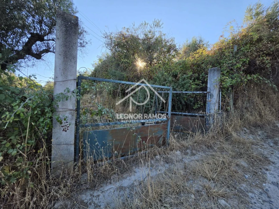 Quinta para Venda em Póvoa de Atalaia e Atalaia do Campo Foto 4