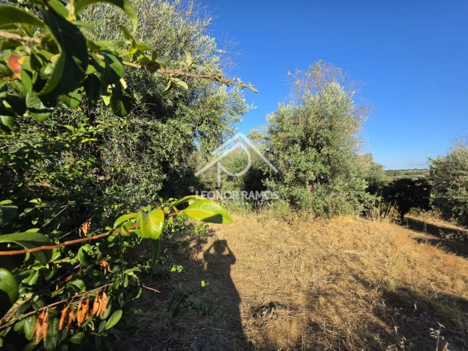 Quinta para Venda em Póvoa de Atalaia e Atalaia do Campo Foto 38