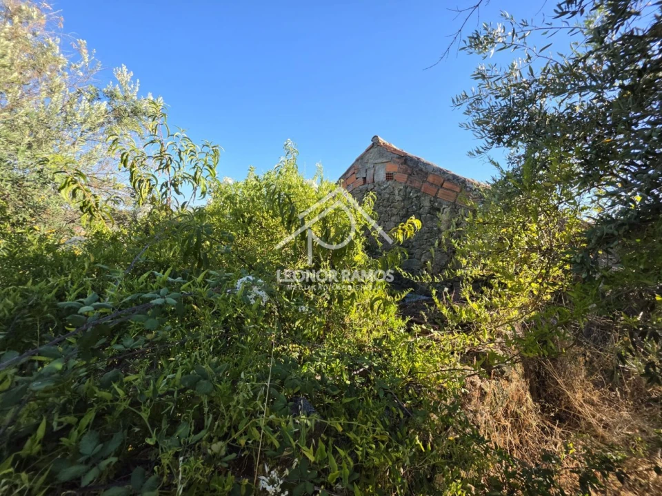 Quinta para Venda em Póvoa de Atalaia e Atalaia do Campo Foto 41