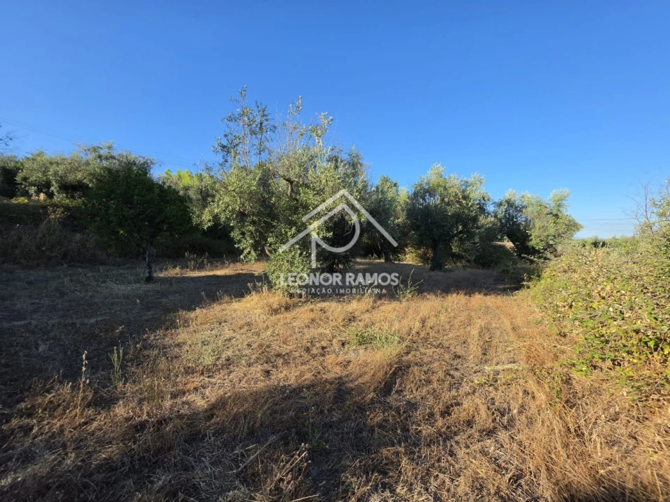 Quinta para Venda em Póvoa de Atalaia e Atalaia do Campo Foto 14
