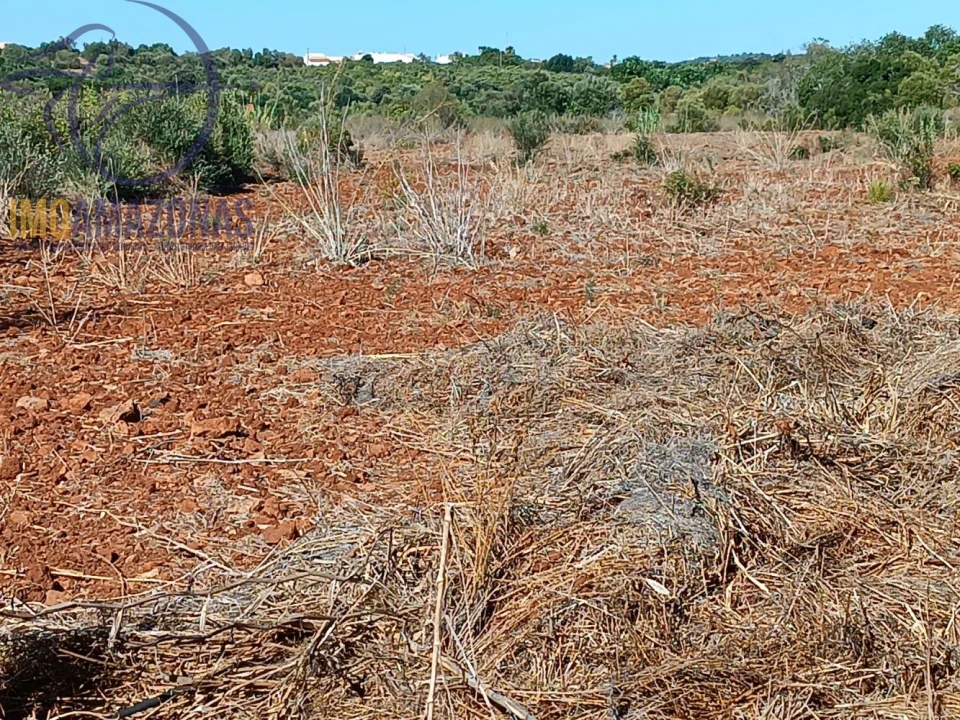 Terreno para Venda em Silves Foto 2