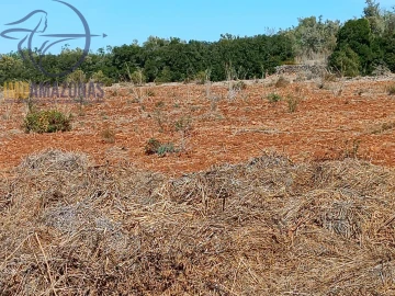 Terreno para Venda em Silves