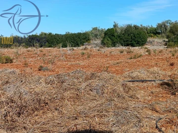 Terreno para Venda em Silves