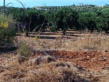 Terreno para Venda em Silves