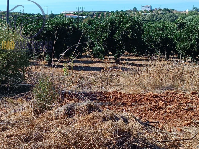 Terreno para Venda em Silves Foto 4