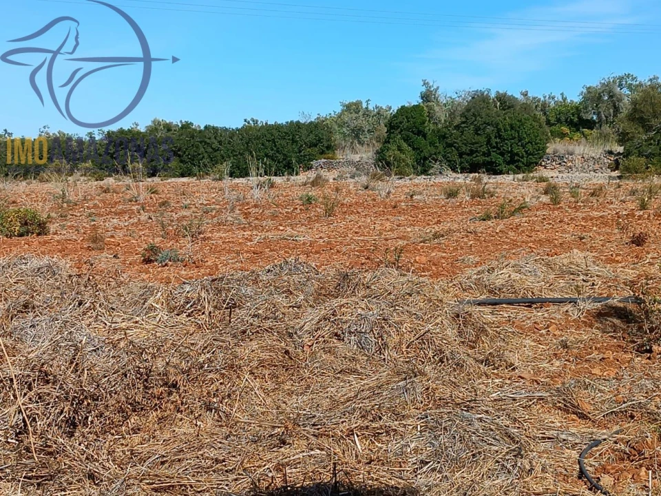 Terreno para Venda em Silves Foto 1