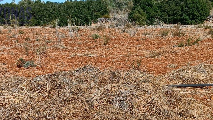 Terreno para Venda em Silves