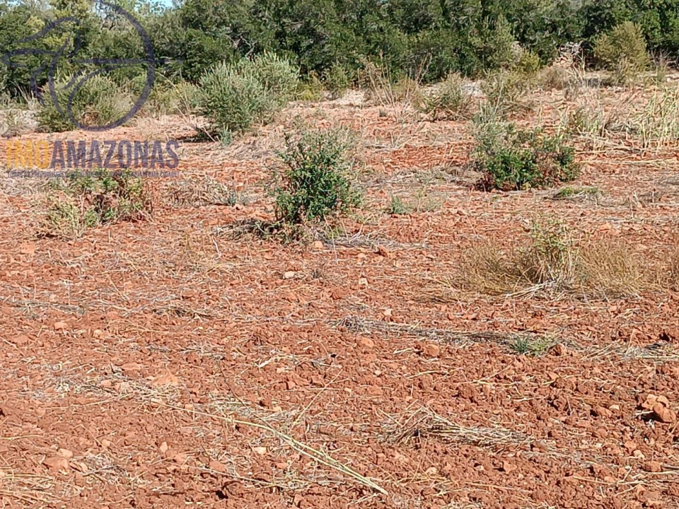 Terreno para Venda em Silves Foto 7