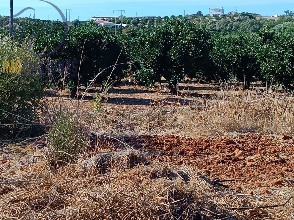 Terreno para Venda em Silves Foto 4