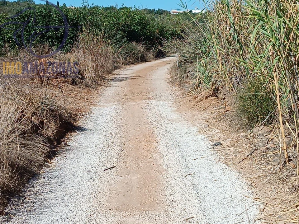 Terreno para Venda em Silves Foto 5