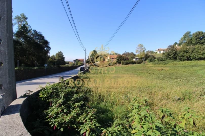 Terreno para Venda em Nogueira do Cravo e Pindelo