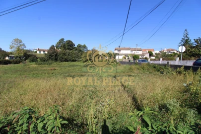 Terreno para Venda em Nogueira do Cravo e Pindelo