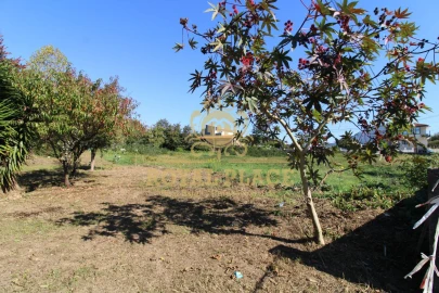 Terreno para Venda em Nogueira do Cravo e Pindelo