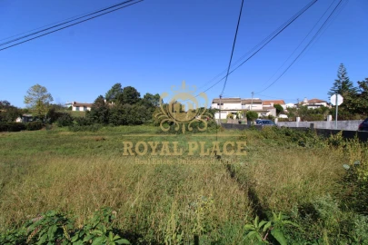 Terreno para Venda em Nogueira do Cravo e Pindelo