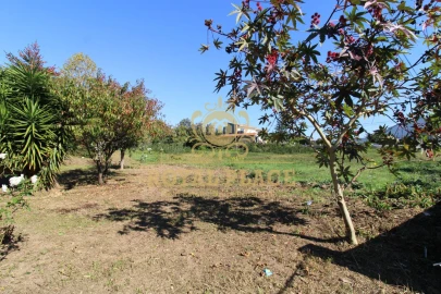 Terreno para Venda em Nogueira do Cravo e Pindelo