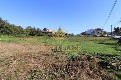 Terreno para Venda em Nogueira do Cravo e Pindelo