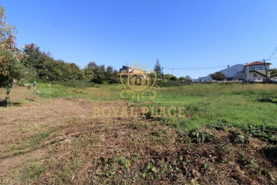 Terreno para Venda em Nogueira do Cravo e Pindelo