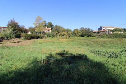 Terreno para Venda em Nogueira do Cravo e Pindelo