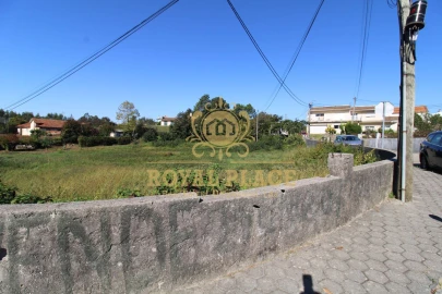 Terreno para Venda em Nogueira do Cravo e Pindelo