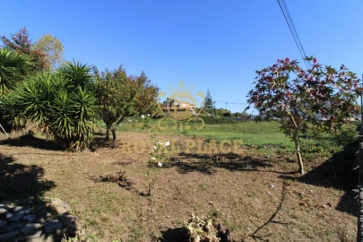 Terreno para Venda em Nogueira do Cravo e Pindelo