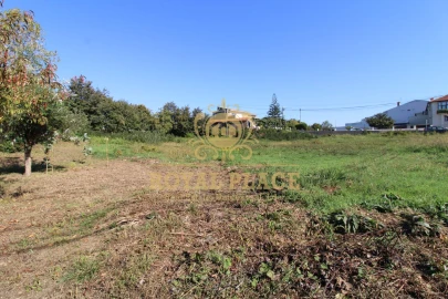 Terreno para Venda em Nogueira do Cravo e Pindelo