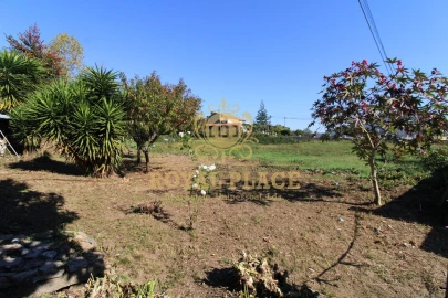 Terreno para Venda em Nogueira do Cravo e Pindelo