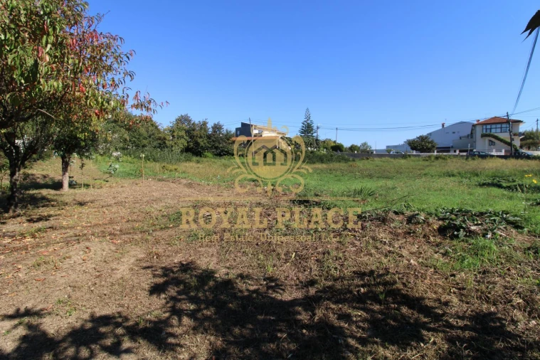 Terreno para Venda em Nogueira do Cravo e Pindelo Foto 16