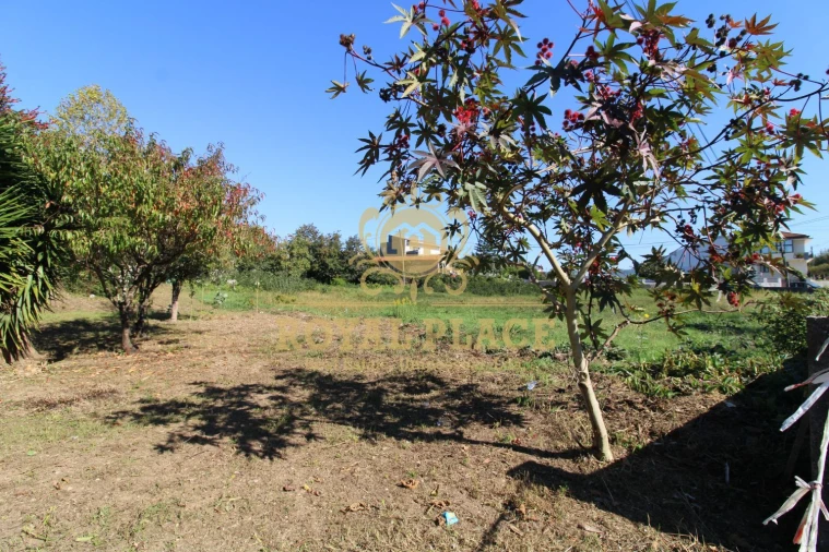 Terreno para Venda em Nogueira do Cravo e Pindelo Foto 18